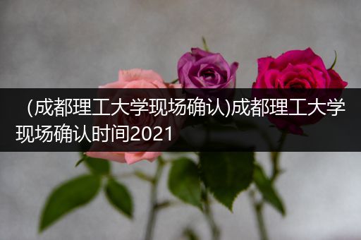 （成都理工大学现场确认)成都理工大学现场确认时间2021
