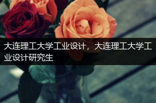 大连理工大学工业设计，大连理工大学工业设计研究生