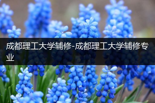 成都理工大学辅修-成都理工大学辅修专业