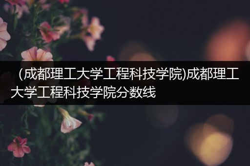 （成都理工大学工程科技学院)成都理工大学工程科技学院分数线