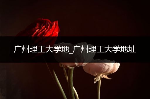 广州理工大学地_广州理工大学地址