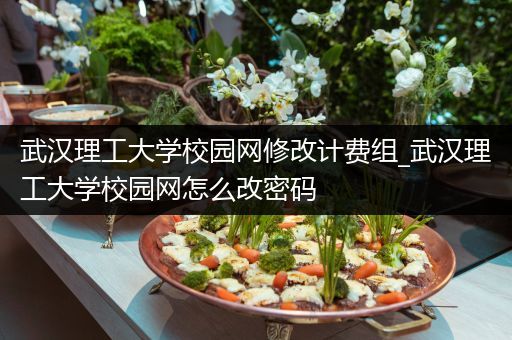 武汉理工大学校园网修改计费组_武汉理工大学校园网怎么改密码