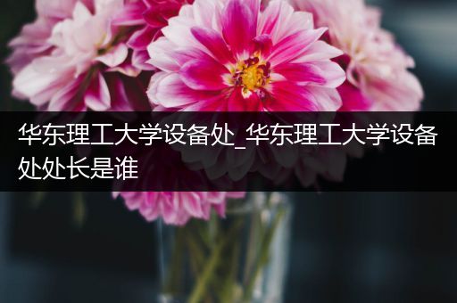 华东理工大学设备处_华东理工大学设备处处长是谁