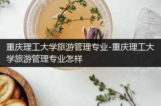 重庆理工大学旅游管理专业-重庆理工大学旅游管理专业怎样