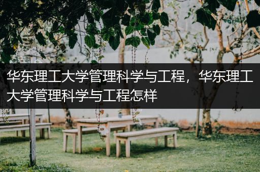 华东理工大学管理科学与工程，华东理工大学管理科学与工程怎样