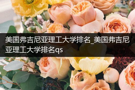 美国弗吉尼亚理工大学排名_美国弗吉尼亚理工大学排名qs