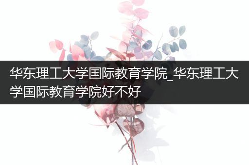 华东理工大学国际教育学院_华东理工大学国际教育学院好不好