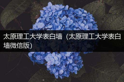 太原理工大学表白墙（太原理工大学表白墙微信版）