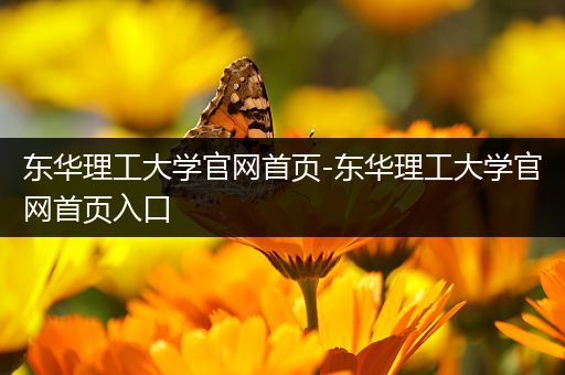 东华理工大学官网首页-东华理工大学官网首页入口