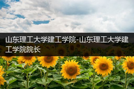 山东理工大学建工学院-山东理工大学建工学院院长