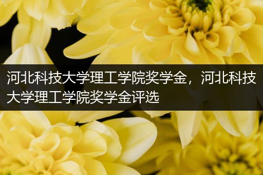 河北科技大学理工学院奖学金，河北科技大学理工学院奖学金评选