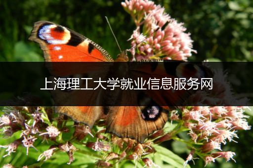 上海理工大学就业信息服务网