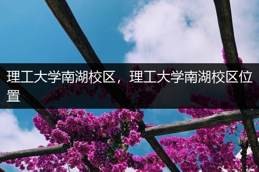 理工大学南湖校区，理工大学南湖校区位置