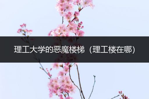 理工大学的恶魔楼梯（理工楼在哪）