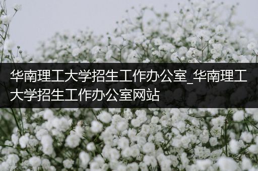 华南理工大学招生工作办公室_华南理工大学招生工作办公室网站