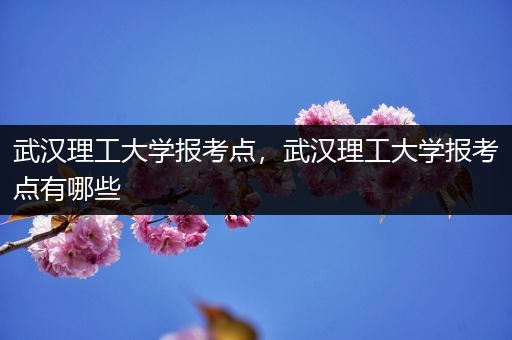 武汉理工大学报考点，武汉理工大学报考点有哪些