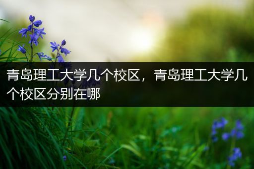 青岛理工大学几个校区，青岛理工大学几个校区分别在哪