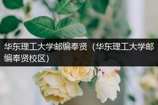 华东理工大学邮编奉贤（华东理工大学邮编奉贤校区）