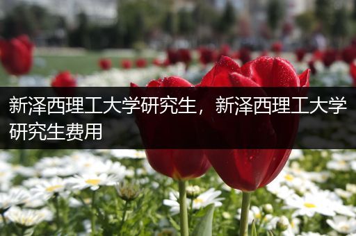 新泽西理工大学研究生，新泽西理工大学研究生费用
