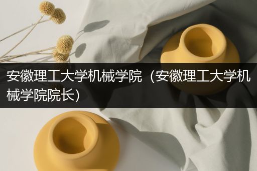 安徽理工大学机械学院（安徽理工大学机械学院院长）
