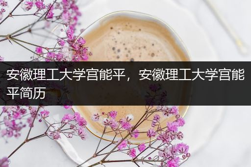 安徽理工大学宫能平，安徽理工大学宫能平简历