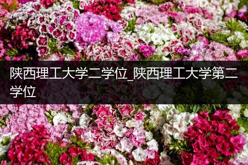 陕西理工大学二学位_陕西理工大学第二学位