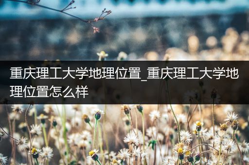 重庆理工大学地理位置_重庆理工大学地理位置怎么样