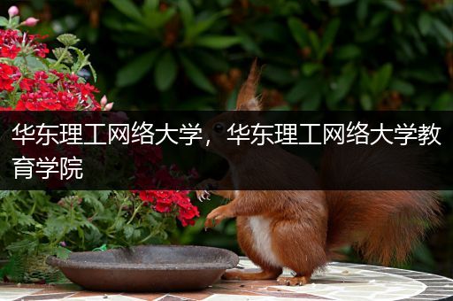 华东理工网络大学，华东理工网络大学教育学院