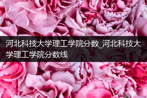 河北科技大学理工学院分数_河北科技大学理工学院分数线