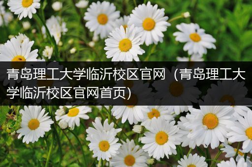 青岛理工大学临沂校区官网（青岛理工大学临沂校区官网首页）