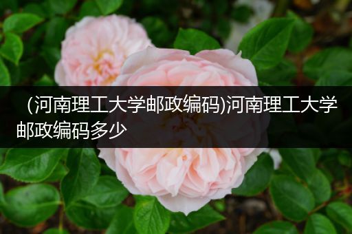 （河南理工大学邮政编码)河南理工大学邮政编码多少