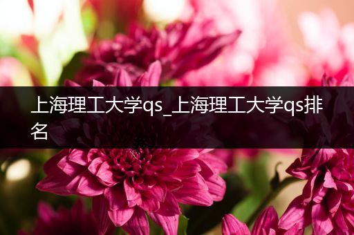 上海理工大学qs_上海理工大学qs排名