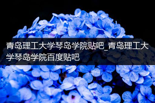 青岛理工大学琴岛学院贴吧_青岛理工大学琴岛学院百度贴吧
