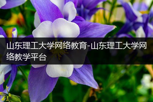山东理工大学网络教育-山东理工大学网络教学平台
