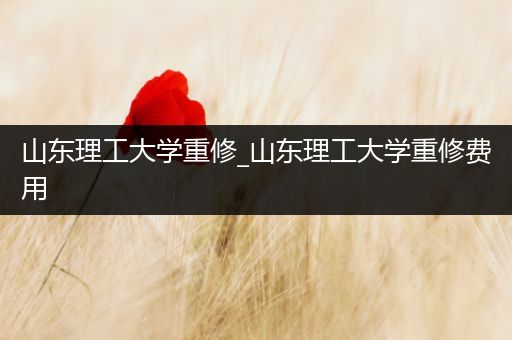 山东理工大学重修_山东理工大学重修费用