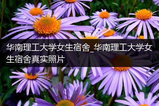 华南理工大学女生宿舍_华南理工大学女生宿舍真实照片