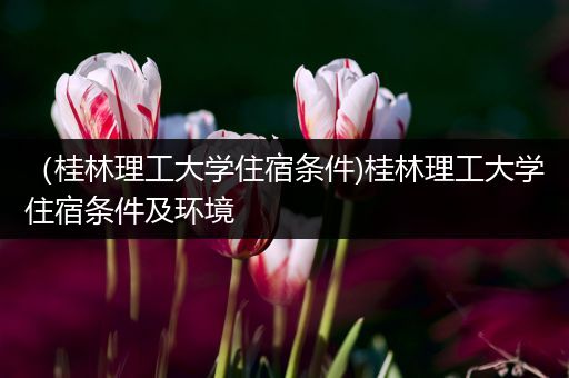 （桂林理工大学住宿条件)桂林理工大学住宿条件及环境