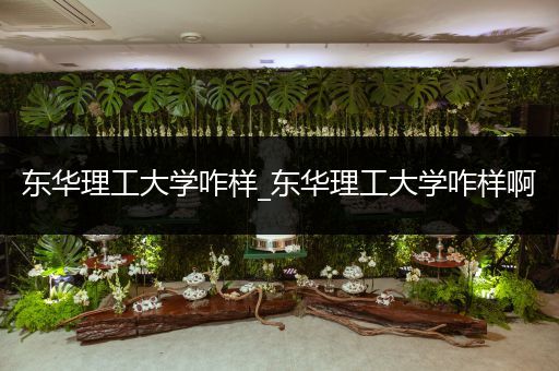 东华理工大学咋样_东华理工大学咋样啊