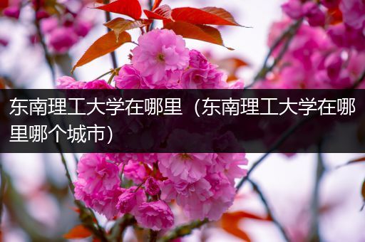 东南理工大学在哪里（东南理工大学在哪里哪个城市）
