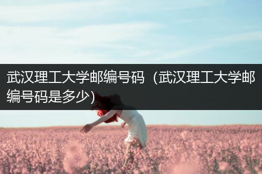 武汉理工大学邮编号码（武汉理工大学邮编号码是多少）