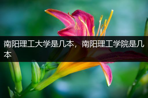 南阳理工大学是几本，南阳理工学院是几本