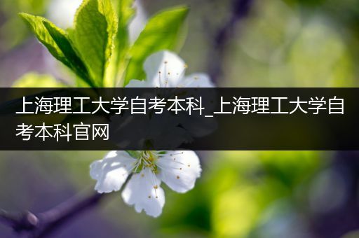 上海理工大学自考本科_上海理工大学自考本科官网