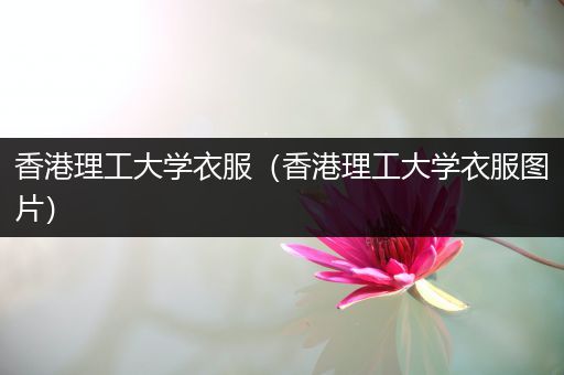 香港理工大学衣服（香港理工大学衣服图片）