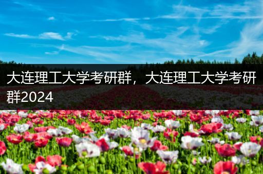 大连理工大学考研群，大连理工大学考研群2024