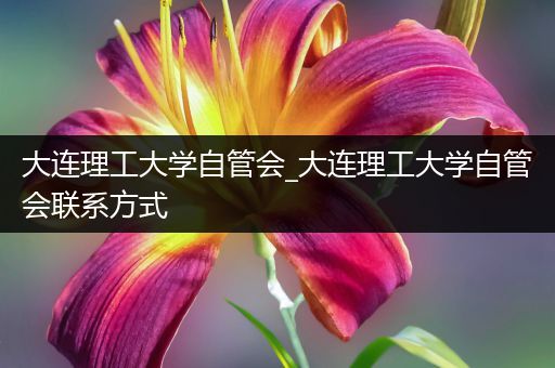 大连理工大学自管会_大连理工大学自管会联系方式