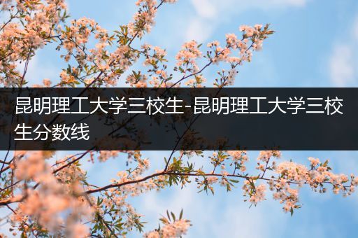 昆明理工大学三校生-昆明理工大学三校生分数线