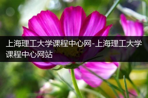 上海理工大学课程中心网-上海理工大学课程中心网站