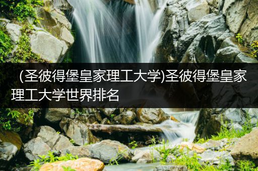（圣彼得堡皇家理工大学)圣彼得堡皇家理工大学世界排名