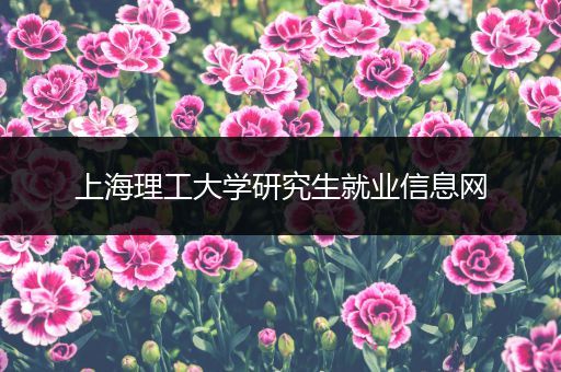 上海理工大学研究生就业信息网
