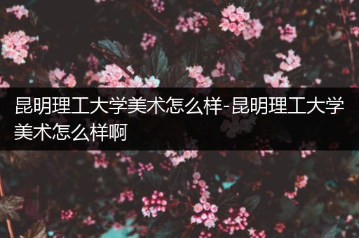 昆明理工大学美术怎么样-昆明理工大学美术怎么样啊